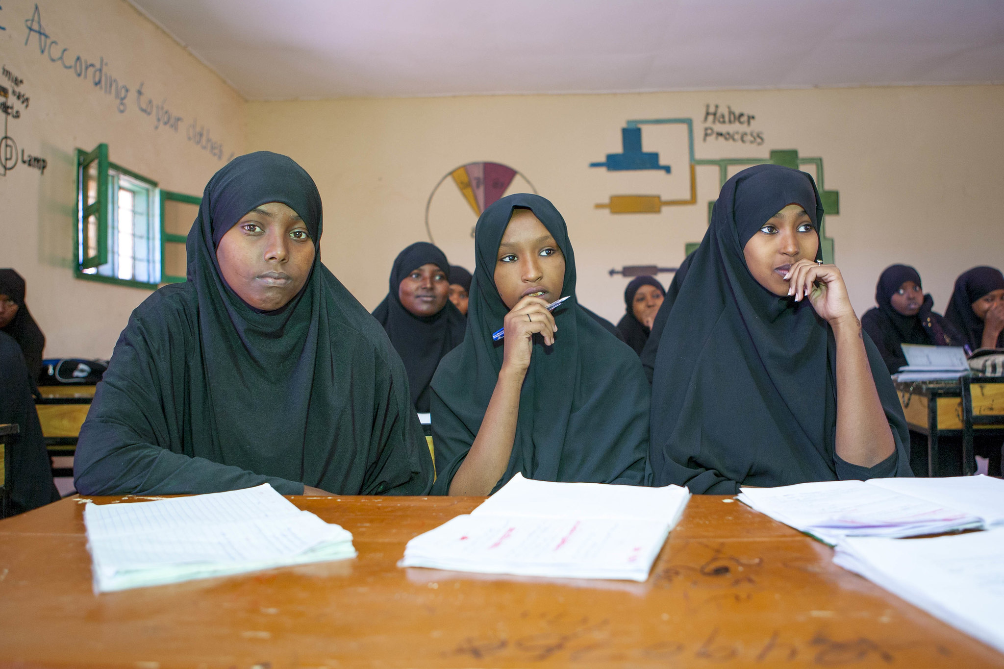 UNDP Somalia – New Partner Organization