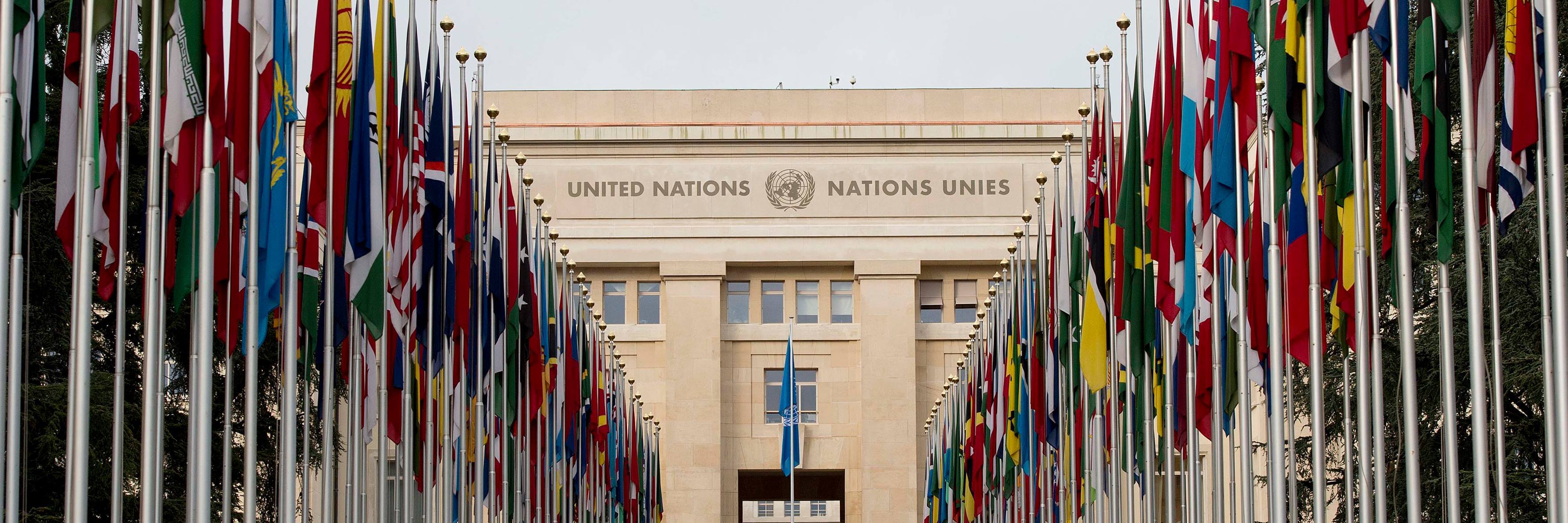 Seeing What’s Next: UNICC and UN Library Geneva 8…