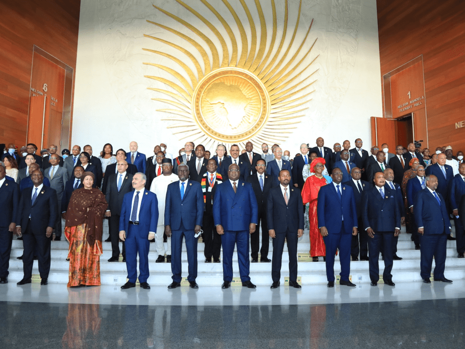 New User Organization: African Union