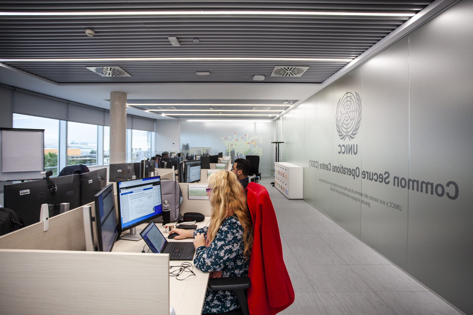 Two UNICC individuals engaged in computer-based tasks in the office workspace